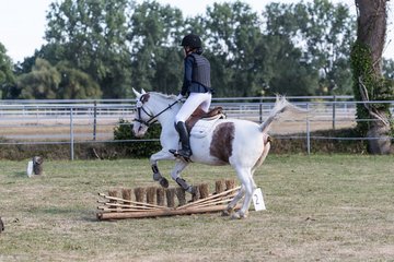 Bild 139 - Pony Akademie Turnier